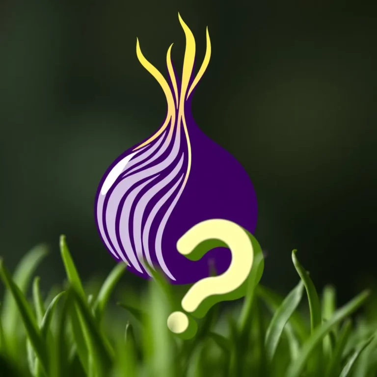 Tor risponde “siamo ancora e sempre sicuri”